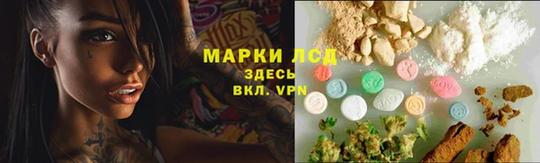 spice Вяземский