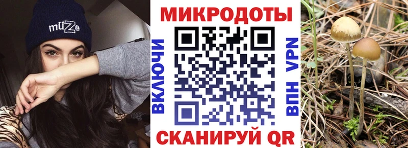 Псилоцибиновые грибы мухоморы  кракен как зайти  Ивангород  купить  сайты 